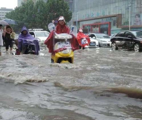 河南一家吃瓜事件视频,一场引发热议的网络风波
