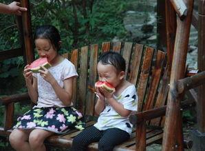 河南一家吃瓜事件视频,一场引发热议的网络风波  第2张