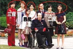 赌王四太吃瓜视频大全,揭秘豪门背后的八卦风云  第2张