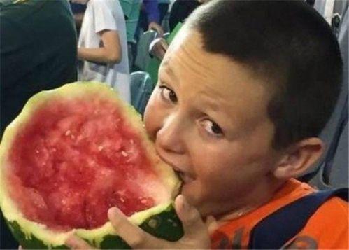 大爷买瓜给外国人吃视频 第3张 大爷买瓜给外国人吃视频 第3张