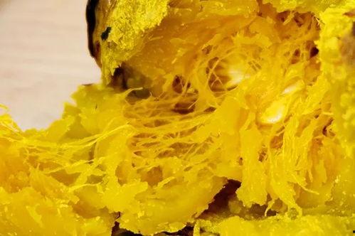 网红吃瓜小视频下载大全,全网热门网红吃瓜小视频大汇总  第3张