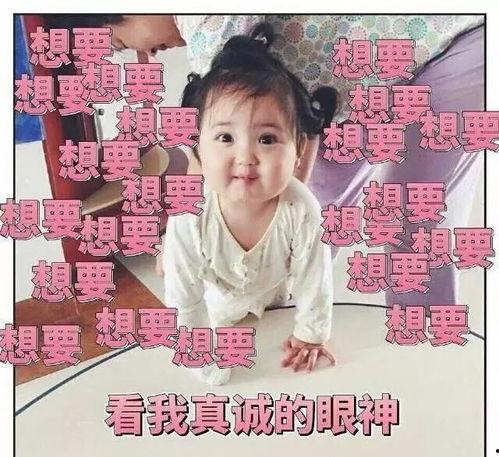 小趴菜吃瓜搞笑视频合集,带你领略欢乐无限