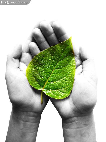 吃瓜绿木素材视频在线观看,热门素材视频在线观看攻略  第3张