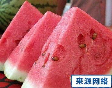 甘肃会宁吃瓜视频