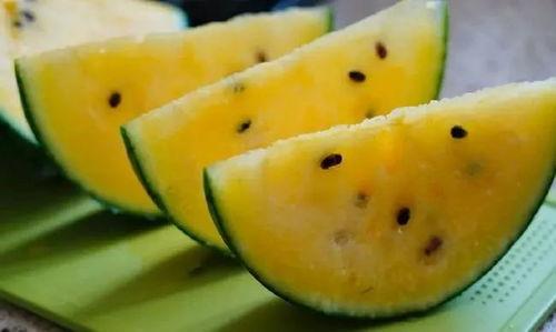 甘肃会宁吃瓜视频 第2张 甘肃会宁吃瓜视频 第2张