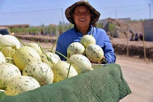 甘肃会宁吃瓜视频 第3张 甘肃会宁吃瓜视频 第3张