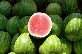 同学吃的瓜视频,同学“吃瓜”视频背后的故事