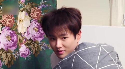 吃瓜直播范丞丞视频,揭秘娱乐圈幕后故事  第2张