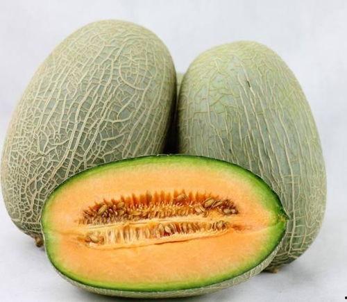 吃哈密瓜大姐会胖吗视频,吃哈密瓜大姐真的会胖吗？  第2张