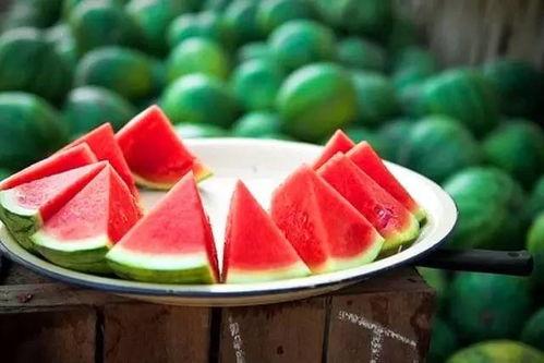 吃瓜比赛片尾素材视频,吃瓜比赛精彩瞬间回顾