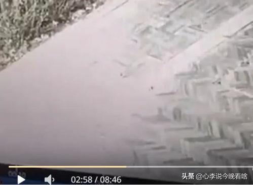 老街完整版视频吃瓜,揭秘视频背后的真实吃瓜故事  第3张