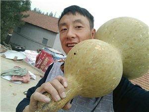 沂水吃瓜的视频,揭秘乡村美食的独特魅力  第2张