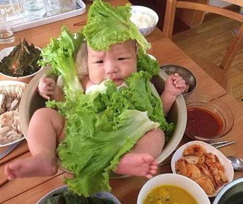 三宝爸吃瓜视频,揭秘娱乐圈幕后故事  第2张