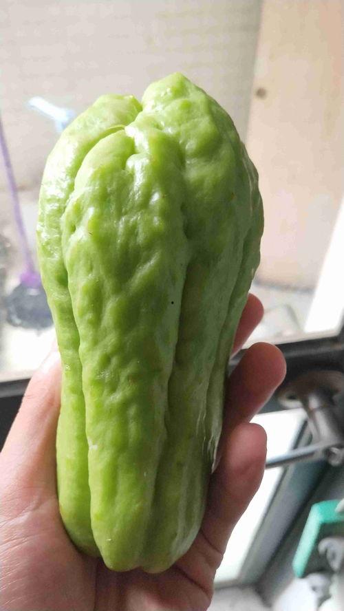 抓手瓜怎么吃最好吃视频,抓手瓜美味吃法大揭秘