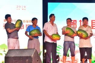 广场吃瓜比赛视频大全,全民娱乐盛宴视频大盘点