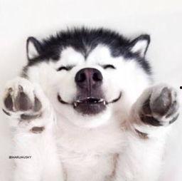 吃瓜群众无语视频,笑料百出,引人深思 第2张 吃瓜群众无语视频,笑料百出,引人深思 第2张