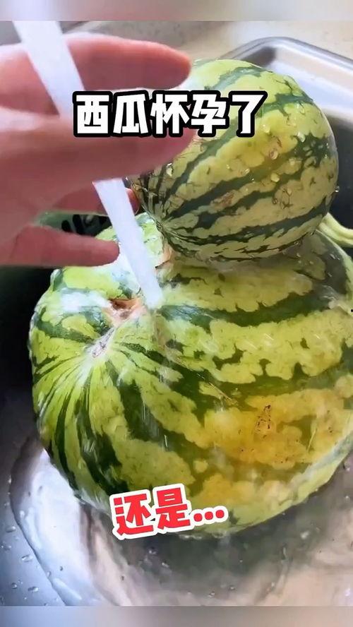 强势吃瓜搞笑视频大全,笑料横生！强势吃瓜搞笑视频大盘点  第3张