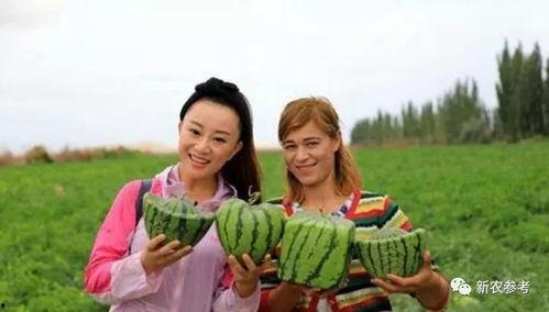 小七吃瓜群众是真的吗视频,视频背后的真实故事 第2张 小七吃瓜群众是真的吗视频,视频背后的真实故事 第2张