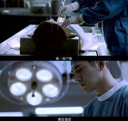 吃瓜离奇事件视频大全,视频大全背后的惊人真相  第2张