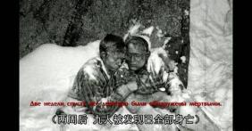 吃瓜离奇事件视频大全,视频大全背后的惊人真相  第3张