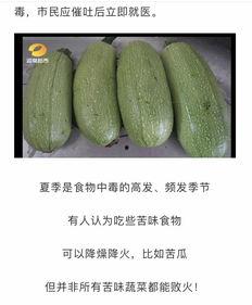 白瓜条怎么吃最好吃视频,视频教你轻松制作最佳口感 第3张 白瓜条怎么吃最好吃视频,视频教你轻松制作最佳口感 第3张