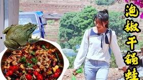 定远县吃瓜视频,揭秘当地特色美食文化  第2张