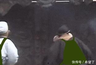 小黄师徒现场吃瓜视频在线观看,趣味横生瞬间回顾  第3张