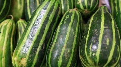 好多瓜吃不过来视频大全  第2张