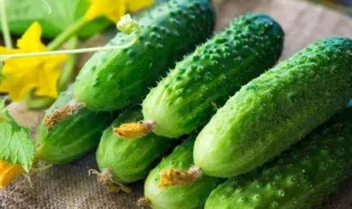 好多瓜吃不过来视频大全  第3张