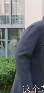 来了老弟吃瓜视频,网络热梗背后的故事与笑料  第2张