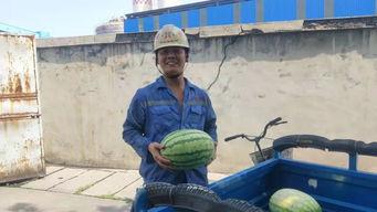 吃瓜群众摔护栏视频大全,惊险瞬间！吃瓜群众摔护栏视频大盘点