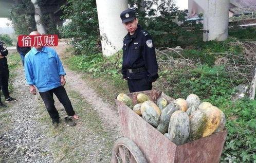 朝阳民众吃瓜事件视频,一场引发热议的街头现象揭秘  第3张