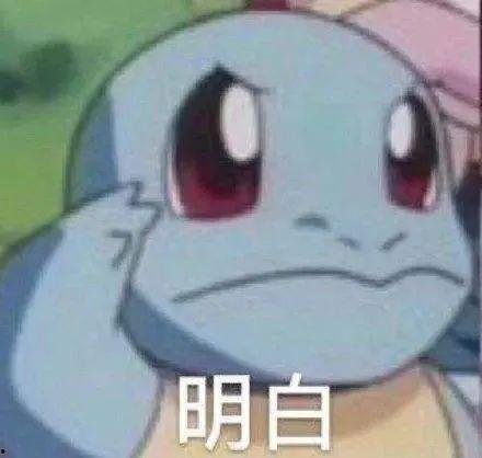 杰尼龟吃瓜视频  第2张