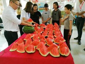 凯旋城吃瓜视频,揭秘网红美食背后的故事 第2张 凯旋城吃瓜视频,揭秘网红美食背后的故事 第2张
