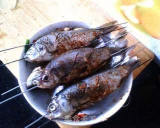 刘大瓜吃鲫鱼烧烤视频,美味诱人瞬间曝光！