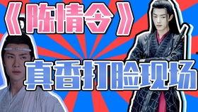 圣歌吃瓜视频在线观看免费,免费在线观看，揭秘游戏幕后趣闻  第2张