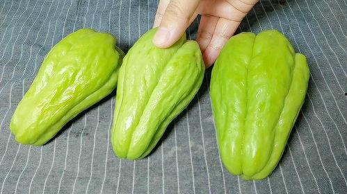 佛手瓜能不能给狗吃呢视频,狗狗的健康美食还是禁忌食材？  第2张