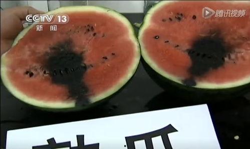 遂州吃瓜视频,揭秘当地美食文化盛宴 第3张 遂州吃瓜视频,揭秘当地美食文化盛宴 第3张