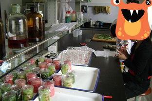 河美吃瓜事件生活馆视频  第2张