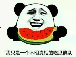 吃瓜群众不看视频,吃瓜群众视角下的幕后真相  第3张