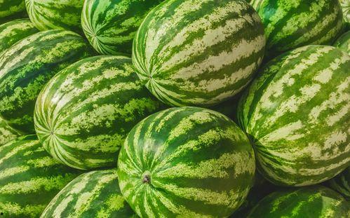 揭阳榕城吃瓜事件视频,一场引发热议的网络视频风波  第3张