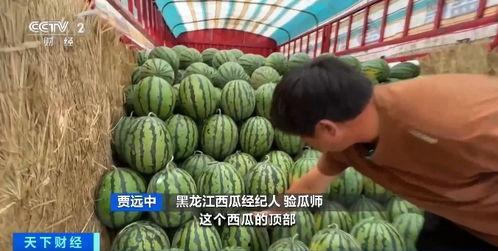 3万元吃瓜视频  第3张