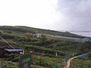 宜宾消防员吃瓜事件视频,意外走红网络，引发网友热议