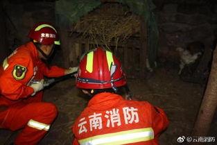 宜宾消防员吃瓜事件视频,意外走红网络，引发网友热议  第3张