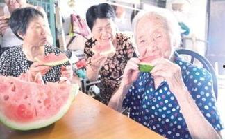 老年人吃年瓜好不好呢视频,老年人的健康佳品，吃年瓜的好处与注意事项  第3张