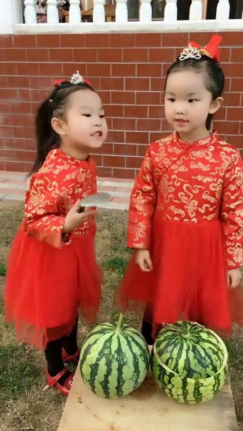 西瓜小伙伴们吃瓜视频,共享夏日清凉时光  第2张