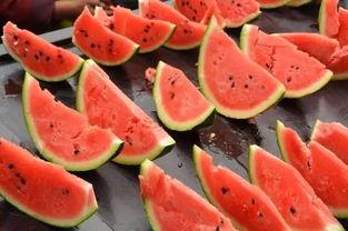 西瓜小伙伴们吃瓜视频,共享夏日清凉时光  第3张