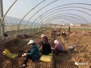 安徽界首吃瓜视频 第3张 安徽界首吃瓜视频 第3张