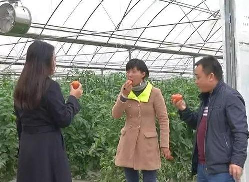 吃瓜群众王铁牛视频,揭秘娱乐圈幕后故事 第2张 吃瓜群众王铁牛视频,揭秘娱乐圈幕后故事 第2张