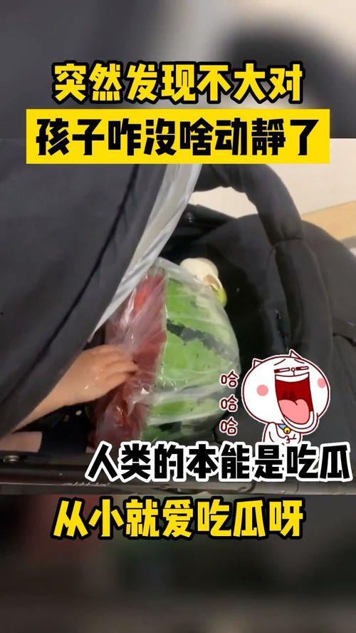 姐妹打架宝宝吃瓜视频,宝宝无辜吃瓜，一场家庭纷争引网友热议